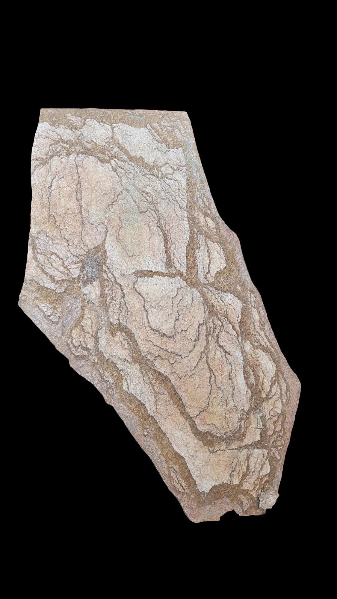 Καφέ πλάκα Καρύστου — φυσική πέτρα